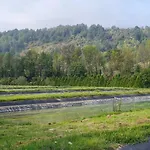 Le Moulin Aux Ecrevisses 3* Thonnance-les-Joinville