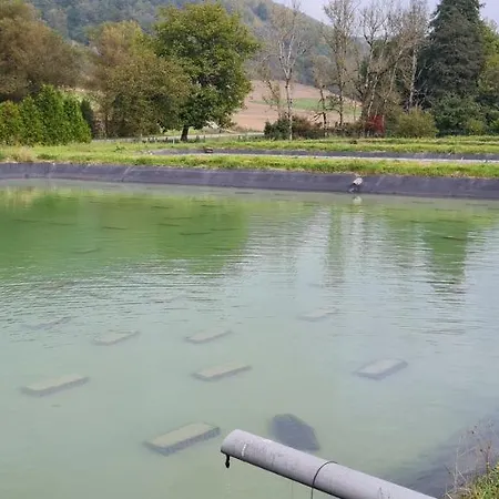 Le Moulin Aux Ecrevisses ベッド・アンド・ブレックファスト Thonnance-lès-Joinville