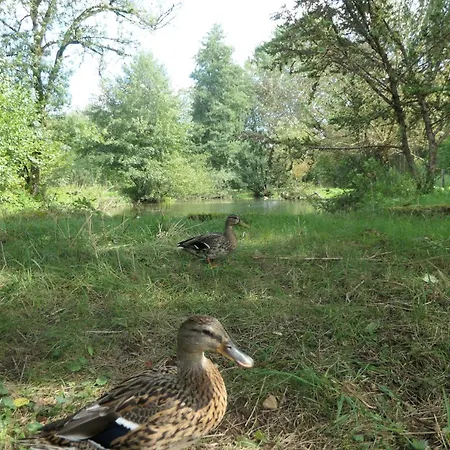 Le Moulin Aux Ecrevisses