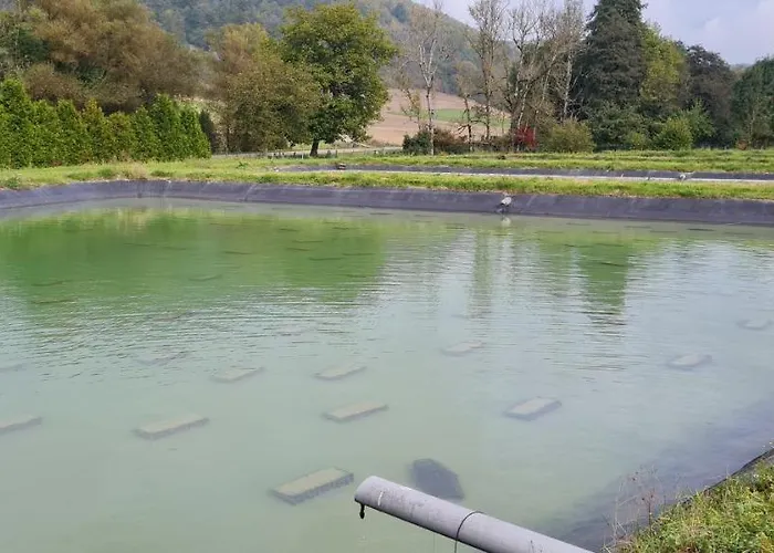 Le Moulin Aux Ecrevisses Bed & Breakfast Thonnance-les-Joinville