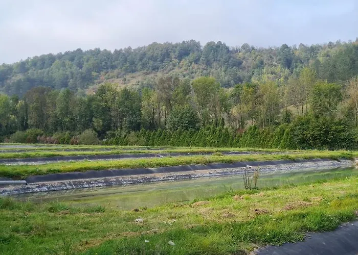 Le Moulin Aux Ecrevisses 3* Thonnance-les-Joinville