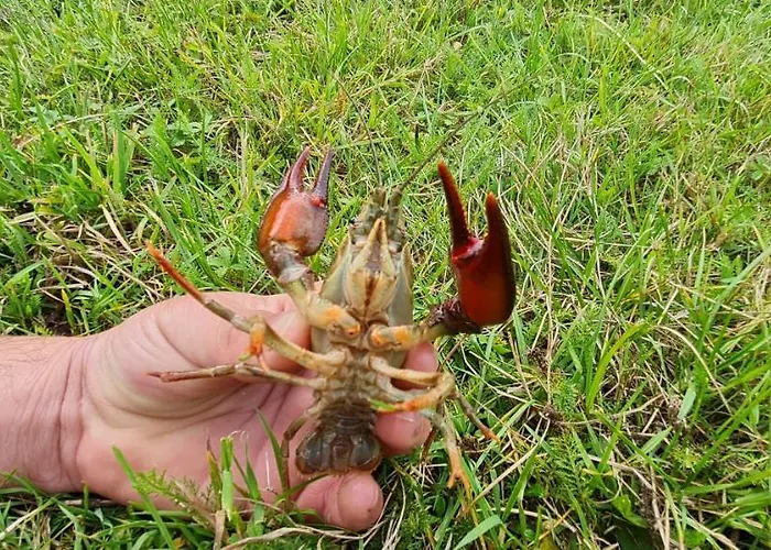 Le Moulin Aux Ecrevisses Bed & Breakfast