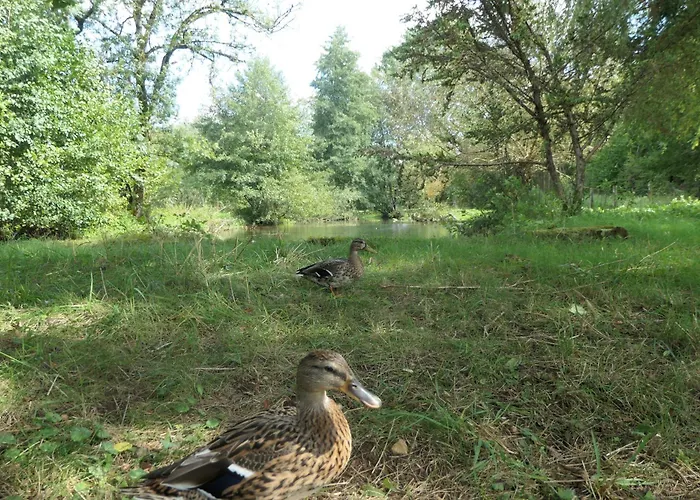 Le Moulin Aux Ecrevisses