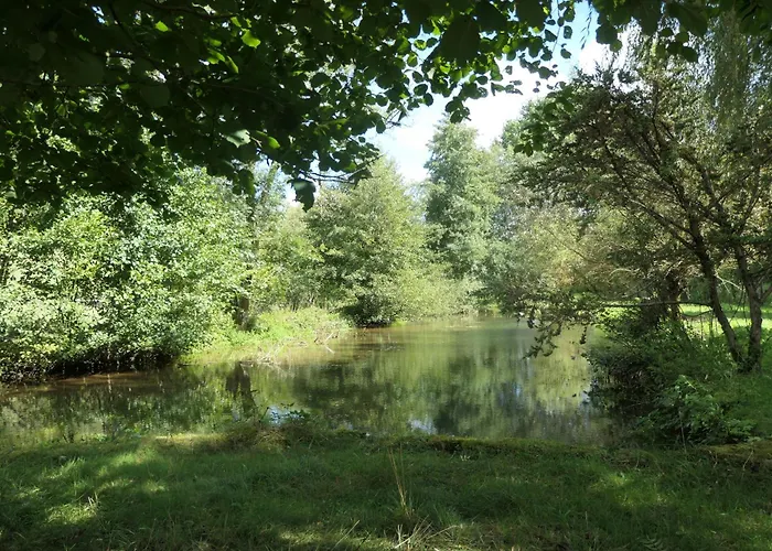 Le Moulin Aux Ecrevisses Thonnance-les-Joinville